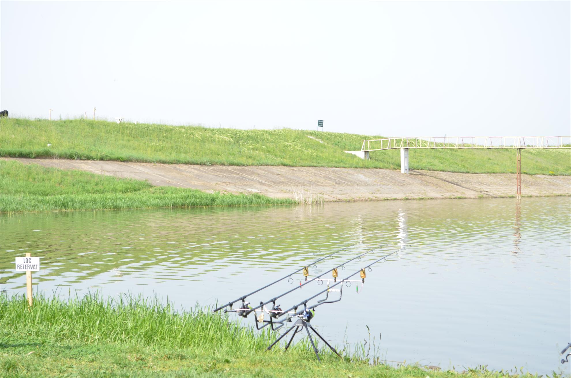 sisterea - dsc0477.JPG